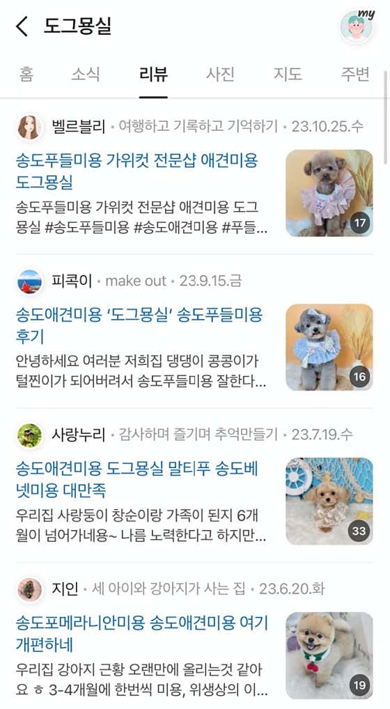 리즈퍼피 · 네이버 지도·플레이스 9