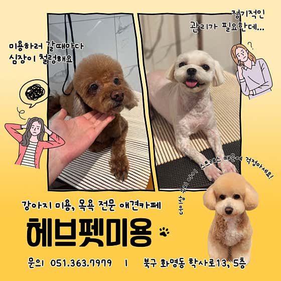 헤브펫 · 네이버 지도·플레이스 10