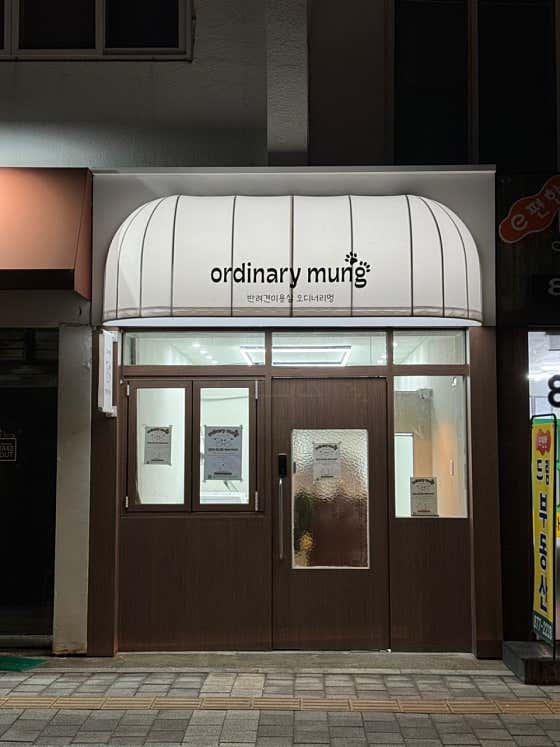 오디너리멍 · 네이버 지도·플레이스 8