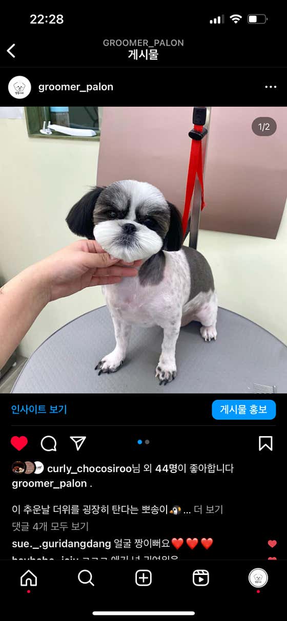 팰롱이네 · 네이버 지도·플레이스 6