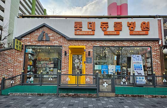 롯데동물병원 대표이미지