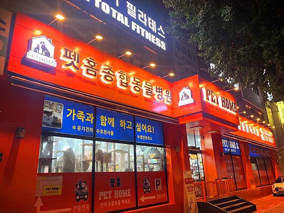 펫홈 주안점