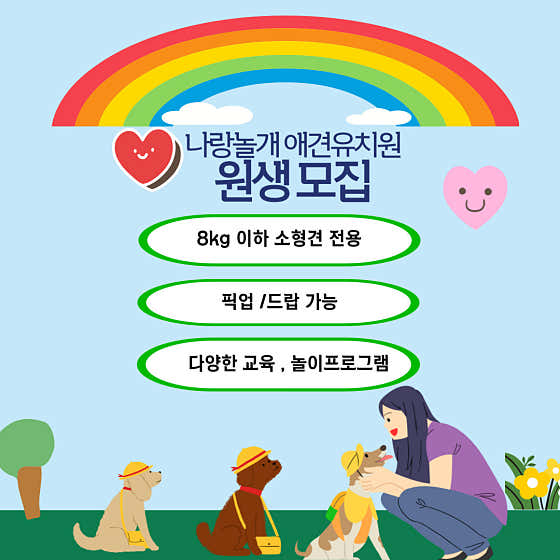 나랑놀개 애견유치원 · 네이버 지도·플레이스 2