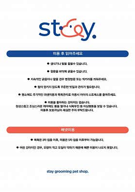 스테이 애견샵