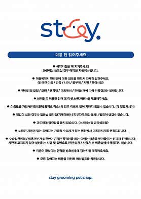 스테이 애견샵