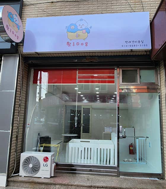 핫도그 반려견미용실 · 네이버 지도·플레이스 3