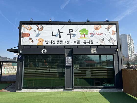 나무