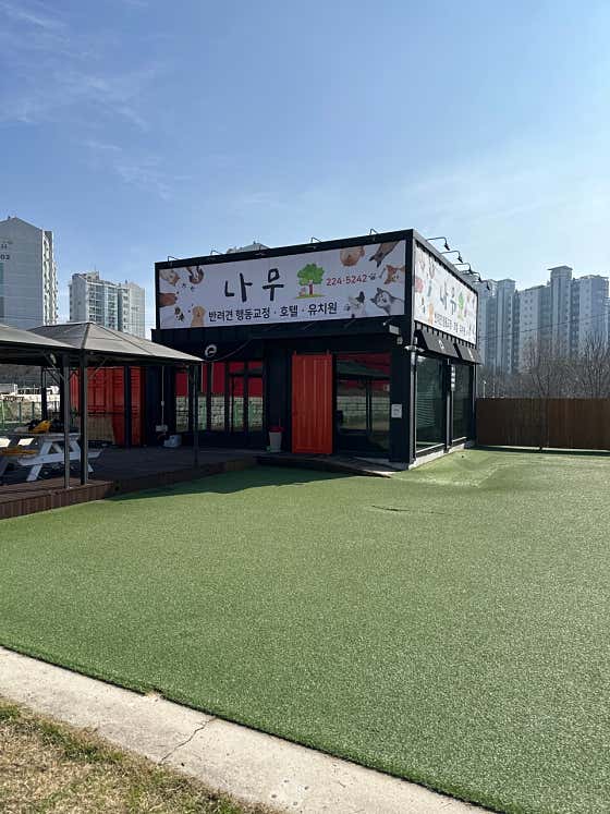 나무 · 네이버 지도·플레이스 2