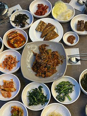 녹차 먹은 돼지 사진 3