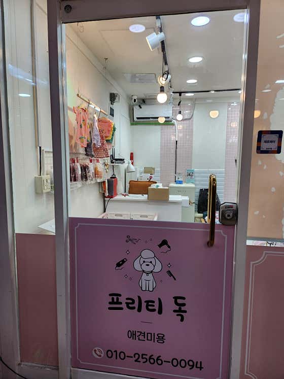 프리티독