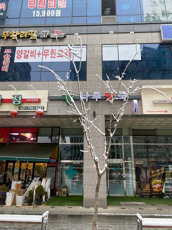 나무약국 · 네이버 지도·플레이스 2