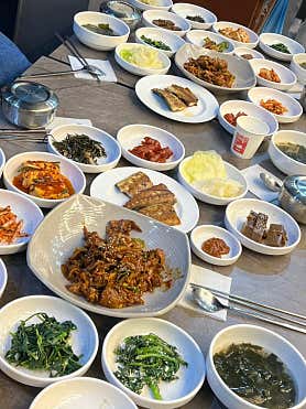 녹차 먹은 돼지 사진 4