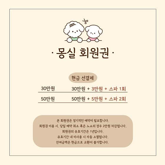 몽실 반려견미용실 · 네이버 지도·플레이스 2