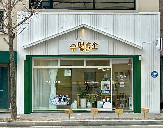 수멍발소 강아지미용실 · 네이버 지도·플레이스 2