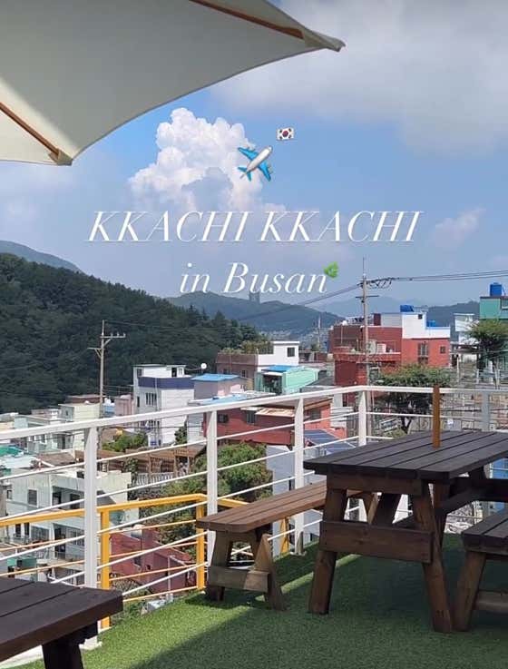 까치까치 감천문화마을 본점 · 네이버 지도·플레이스 8