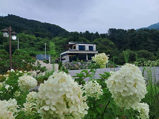 커피마당 · 네이버 지도·플레이스 7