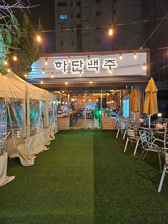 하단맥주 · 네이버 지도·플레이스 1