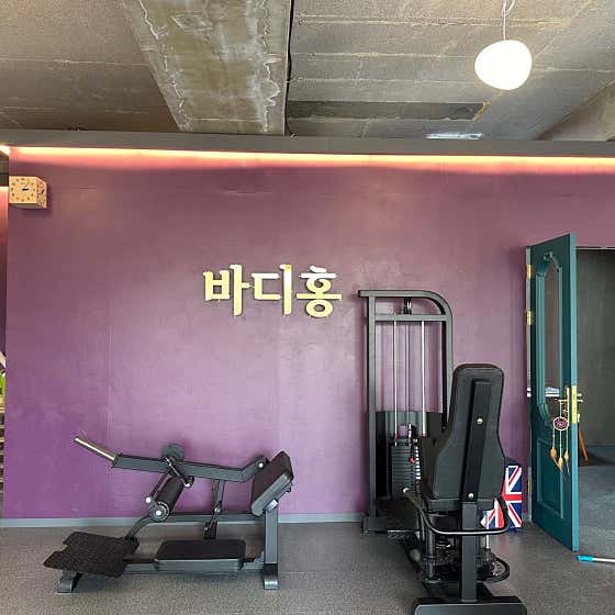 바디홍