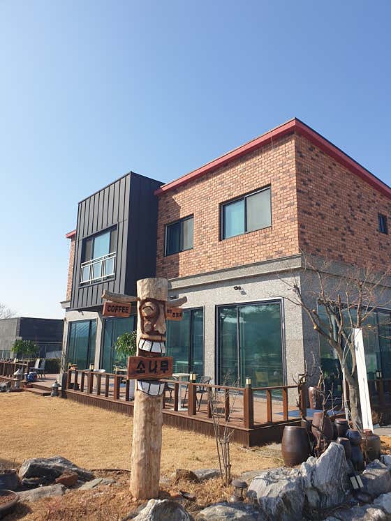 소나무 전통차