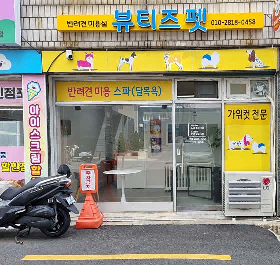 뷰티즈펫