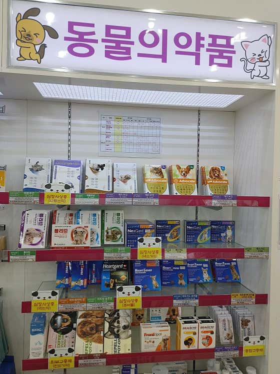 목동정문약국 · 네이버 지도·플레이스 3