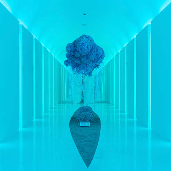 녹테마레 미디어아트 · 네이버 지도·플레이스 2