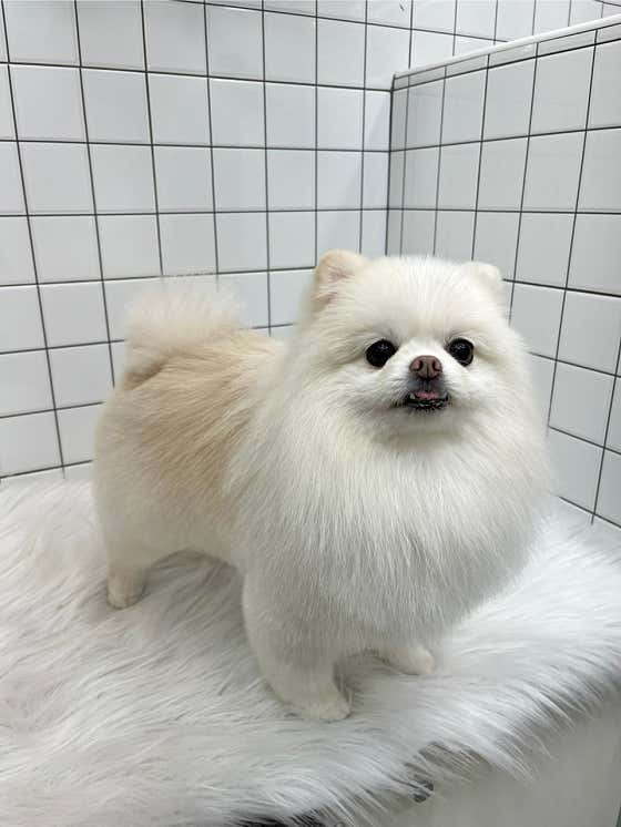 개목욕탕 · 네이버 지도·플레이스 7