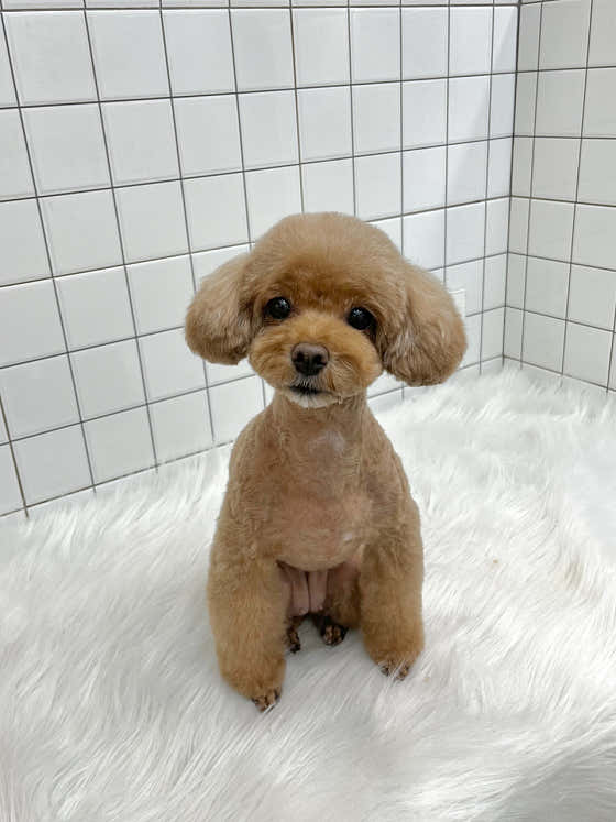 개목욕탕 · 네이버 지도·플레이스 4