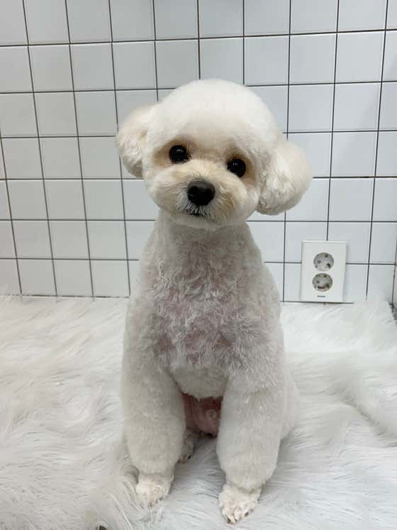개목욕탕