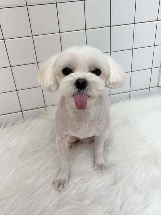 개목욕탕 · 네이버 지도·플레이스 6