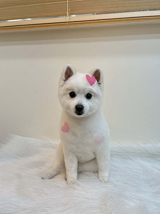 개목욕탕 · 네이버 지도·플레이스 2