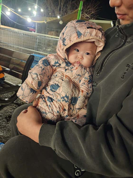 12개월 미만, 반려견 무료 메뉴 사진(네이버)
