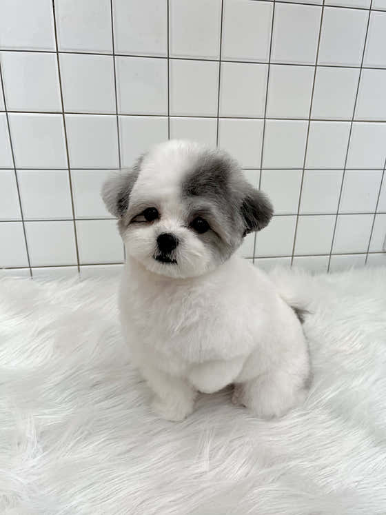 개목욕탕 · 네이버 지도·플레이스 5