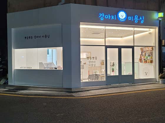 뽀송뽀송강아지미용실 · 네이버 지도·플레이스 3