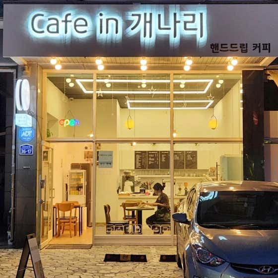 카페 인 개나리