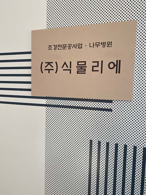 식물리에 매장 분위기