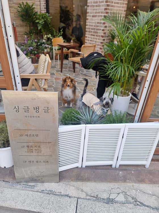 싱글벙글 · 네이버 지도·플레이스 5