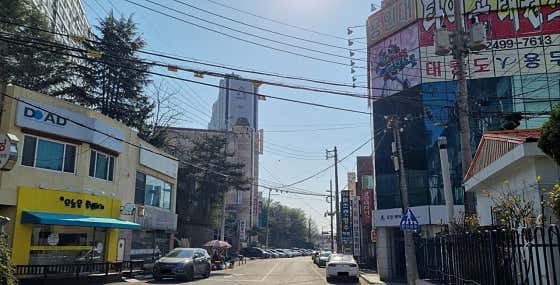 오늘은특별하개 · 네이버 지도·플레이스 2