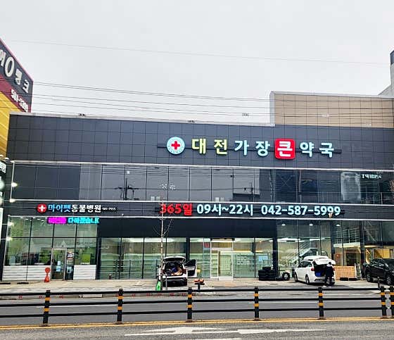 대전가장큰약국