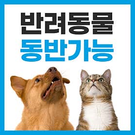 업체사진 4
