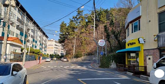 오늘은특별하개 · 네이버 지도·플레이스 3