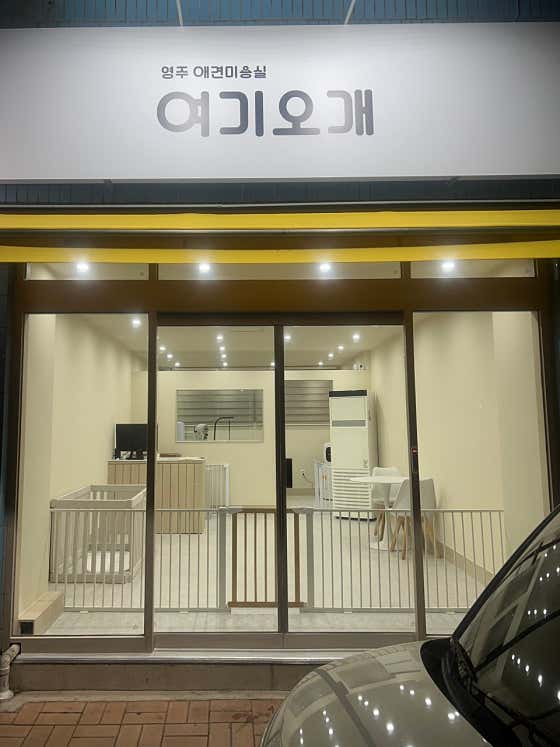 영주애견미용실 여기오개 · 네이버 지도·플레이스 2