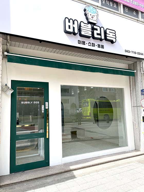 버블리독 · 네이버 지도·플레이스 2