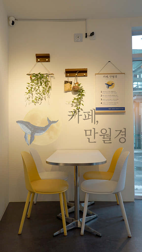 카페 만월경 동탄노르웨이숲점 · 네이버 지도·플레이스 9