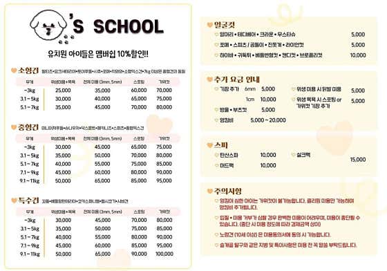 사하구애견미용 댕스살롱 · 네이버 지도·플레이스 3