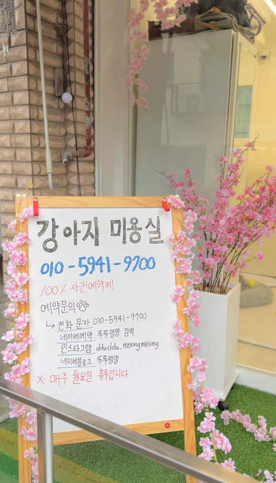 뚜뚜멍멍 · 네이버 지도·플레이스 3