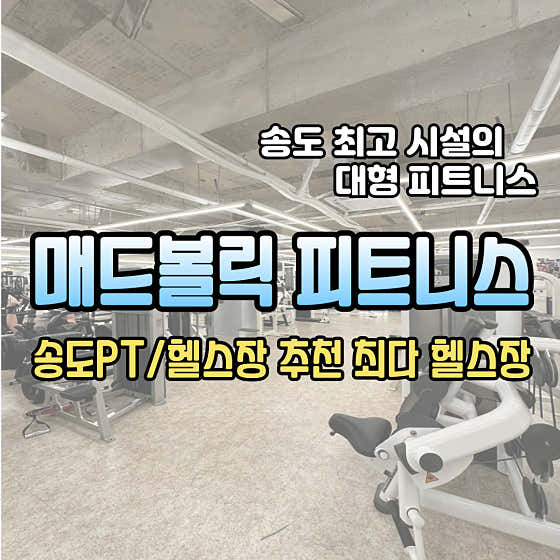 매드볼릭 PT 헬스장 송도
