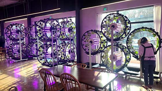 도넛팜체험학습장 · 네이버 지도·플레이스 2