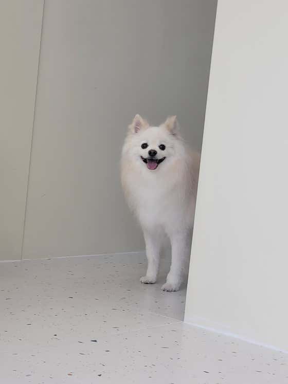 러키몽 · 네이버 지도·플레이스 4