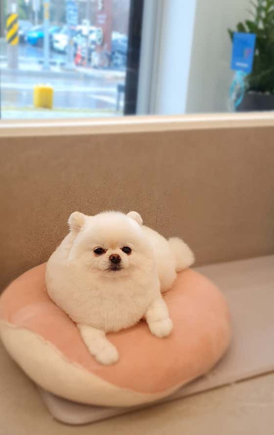 더 러블리 · 네이버 지도·플레이스 7